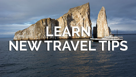 Learn New Travel Tips on Vegan Travel