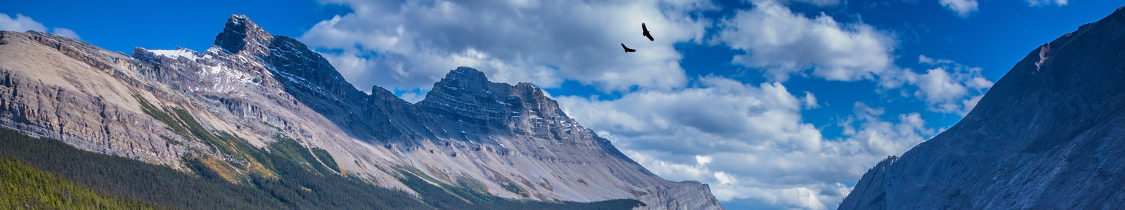 Canada Vegan Travel Guide - Banner