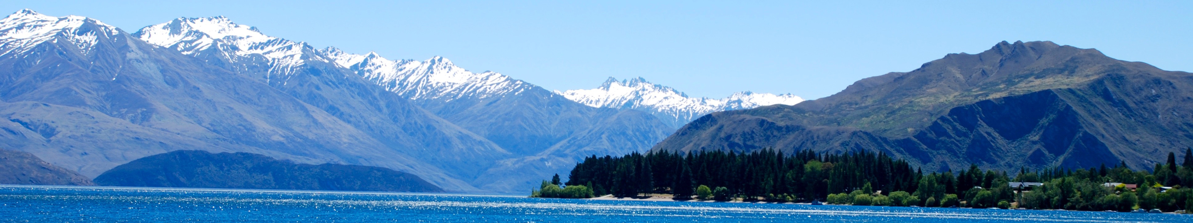 New Zealand Vegan Travel Guide Banner