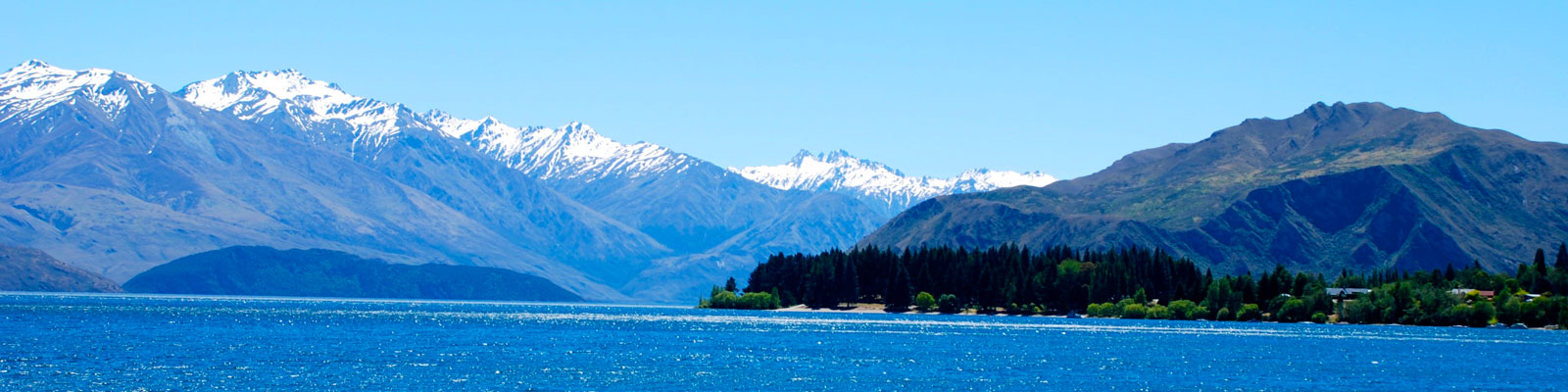 New Zealand Vegan Travel Guide