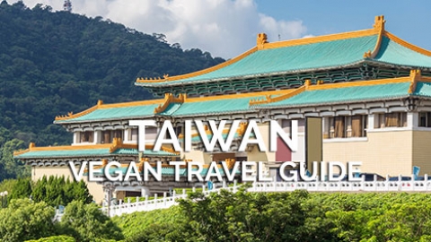 vegan travel asia