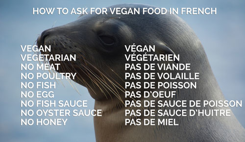 Vegan Travel Translations French