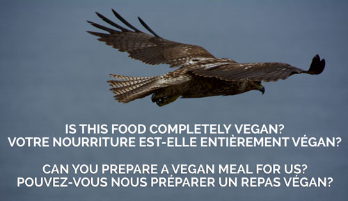 Vegan Travel Translations French Phrases