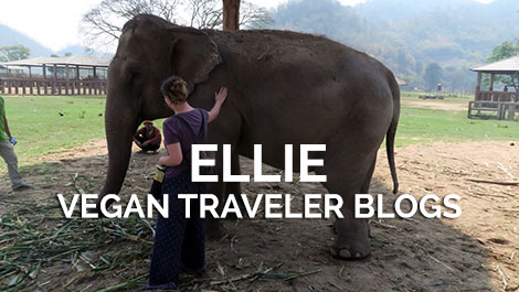 Vegan Traveler Blog - Ellie's Travels on Vegan Travel