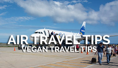 Vegan Airline Travel Tips