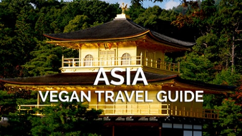 vegan travel asia reviews