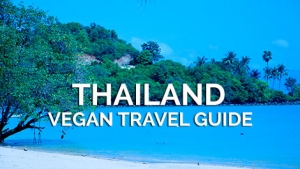 vegan travel asia