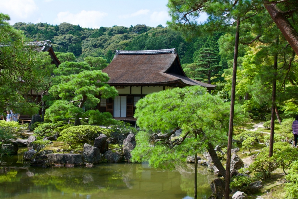 Japan Vegan Lotus - tour of Tokyo, Kanazawa, & Kyoto | VeganTravel.com