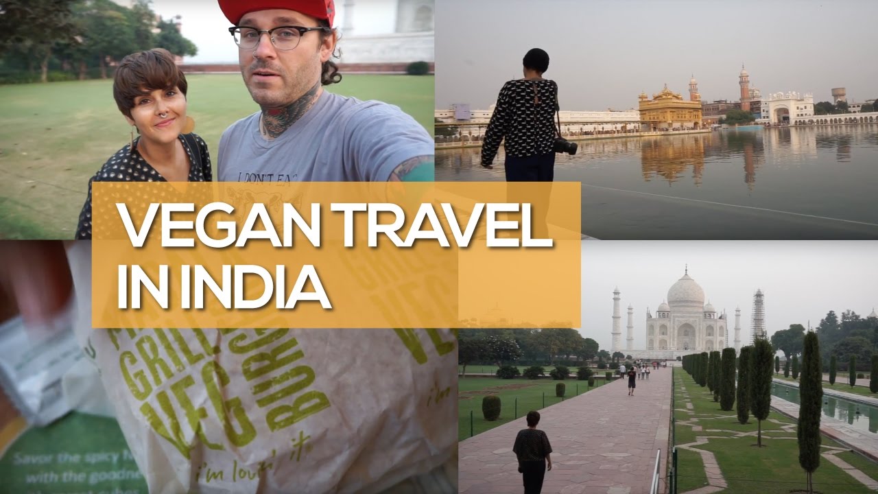 Vegan Travel In India Vegan Traveler Vlog On