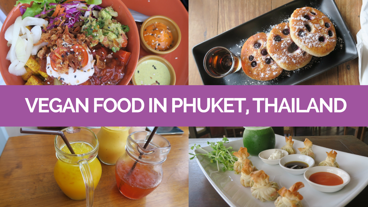 vegan-food-in-phuket-thailand-vegan-traveler-vlog-on-vegantravel