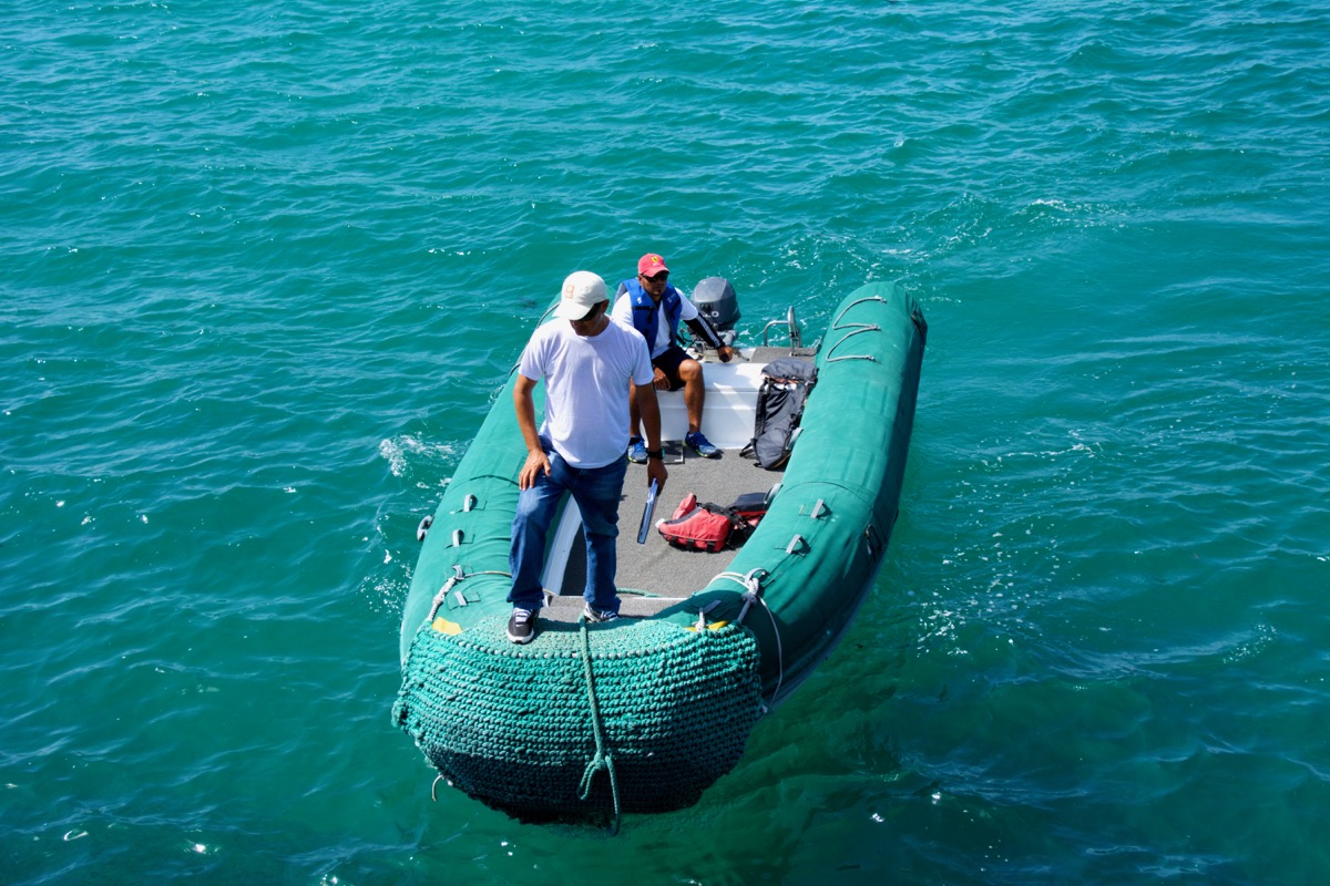 Zodiac boat