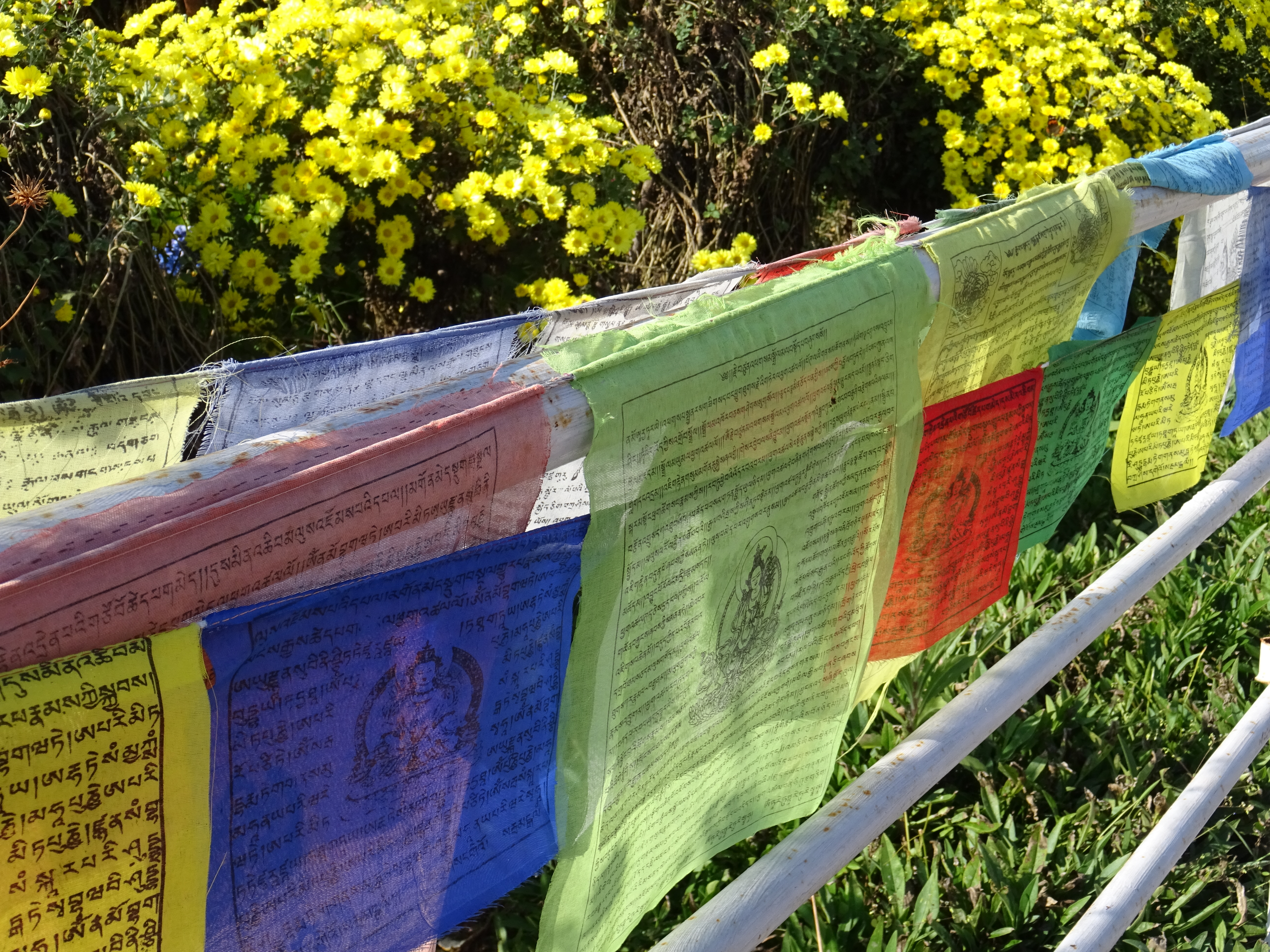 Prayer flags Nepal travel vegan in Nepal