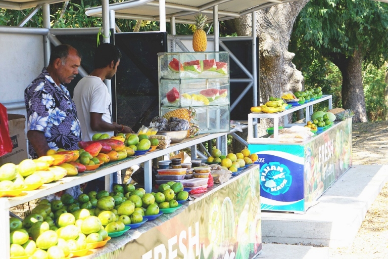 fiji travel vegan